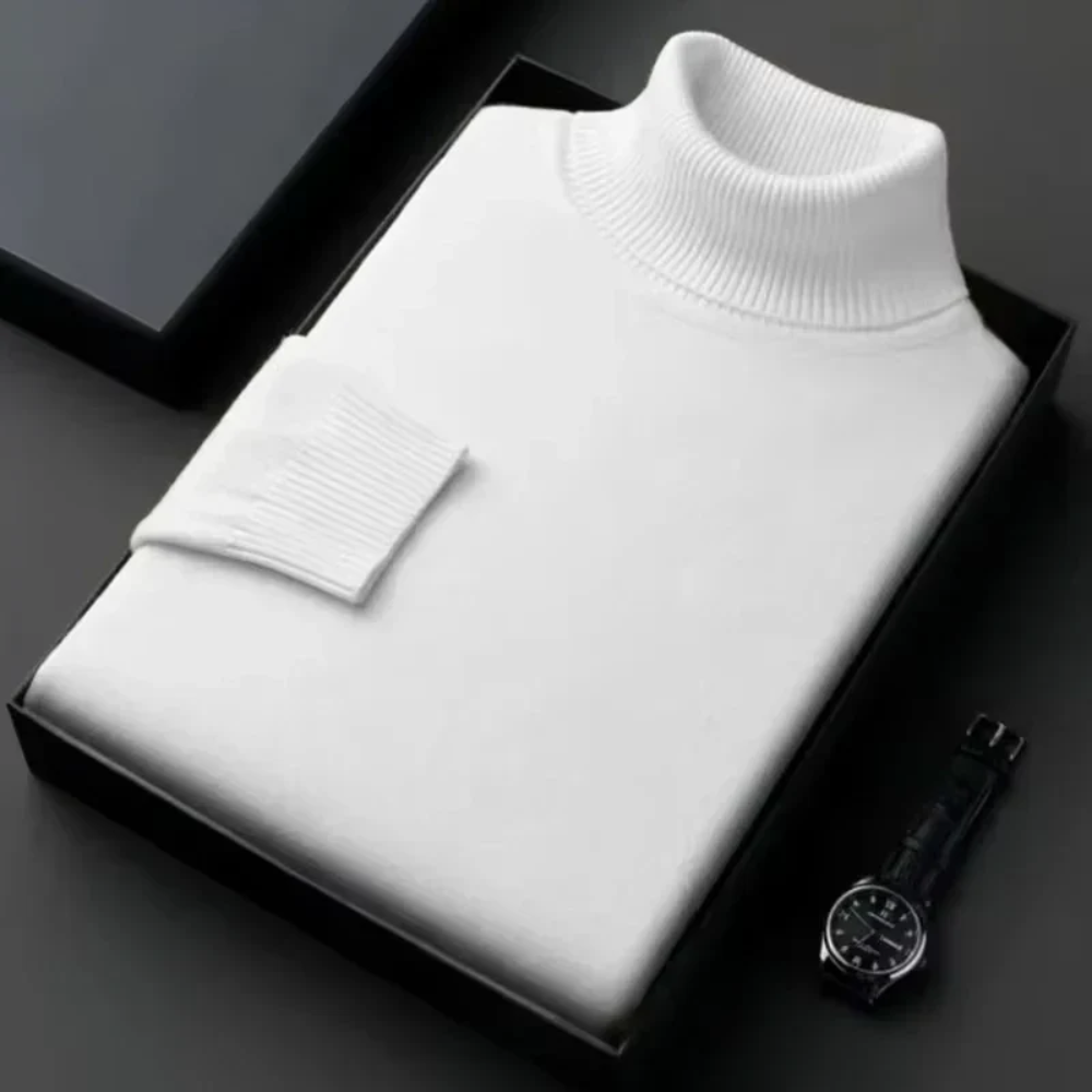 Alioth Kaschmir Rollkragenpullover