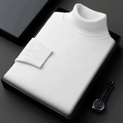 Alioth Kaschmir Rollkragenpullover