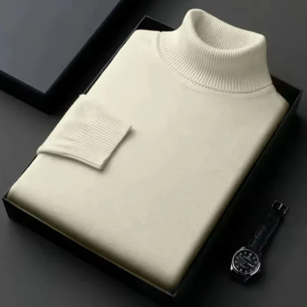Alioth Kaschmir Rollkragenpullover