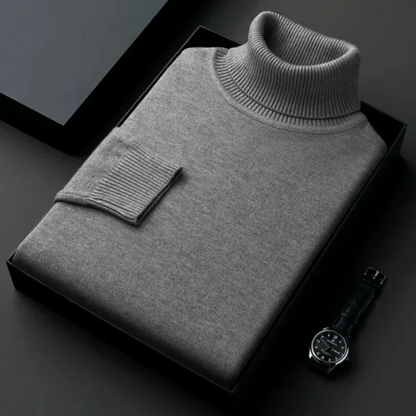 Alioth Kaschmir Rollkragenpullover