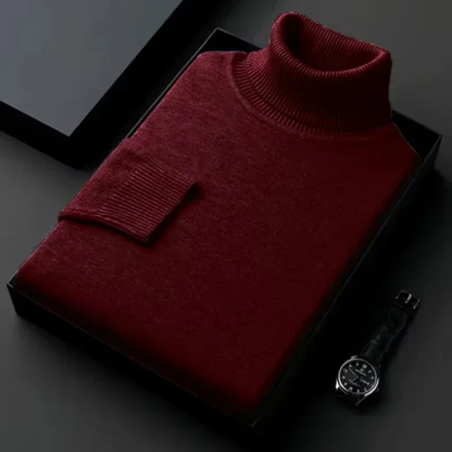 Alioth Kaschmir Rollkragenpullover