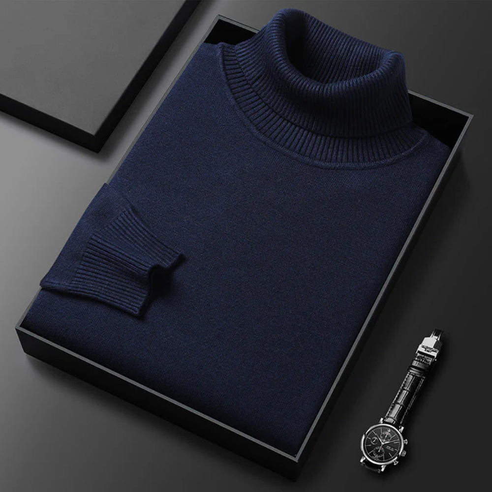 Alioth Kaschmir Rollkragenpullover