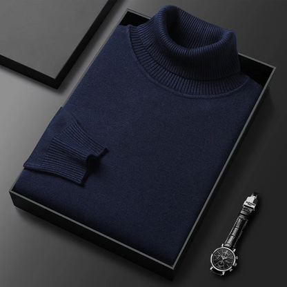 Alioth Kaschmir Rollkragenpullover