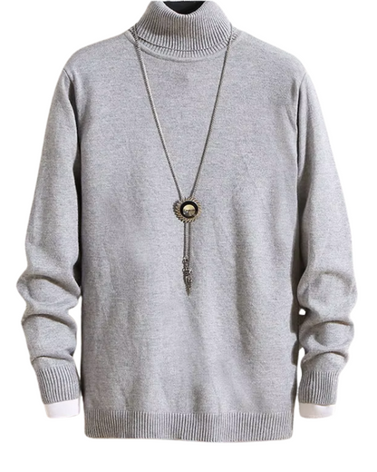 Alioth Kaschmir Rollkragenpullover